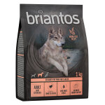 Testez - les ! croquettes briantos 1 kg pour chien - adult light / sterilised dinde & pommes de terre ... Testez - les ! croquettes briantos 1 kg pour chien - adult light / sterilised dinde & pommes de terre ...