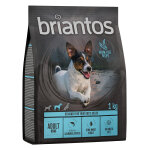 Testez - les ! croquettes briantos 1 kg pour chien - adult mini saumon, pommes de terre - sans céréales ... Testez - les ! croquettes briantos 1 kg pour chien - adult mini saumon, pommes de terre - sans céréales ...
