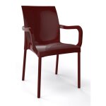 Lot de 2 fauteuils iris de jardin marron