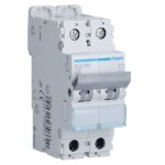 Interrupteur magntothermique hager 2p 10a 6 ka c 2 modules mca210