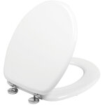 Abattant wc woody en charnire inox laqu blanc wirquin 21230004