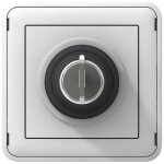 Interrupteur � cl� �tanche plexo 3a 250v legrand 069534