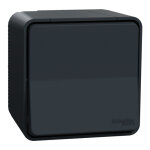 Interrupteur va - et - vient mureva styl connexion automatique gris - schneider electric - mur35021