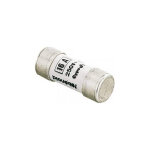 Lebenoid bote de 10 fusibles gf 10 x 25 16a  voyant - l'ebenoid - 064516