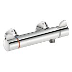 Mitigeur de douche thermostatique securitherm bicommande delabie h9741