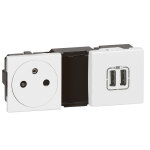 Prise de courant 2p + t surface + chargeur 2 usb type - a mosaic 2x2 modules blanc - legrand - 077595 ...