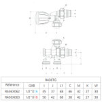 Robinet de radiateur monotube droit 1 / 2 d16 à 4 voies - giacomini - r436x062 Robinet de radiateur monotube droit 1 / 2 d16 à 4 voies - giacomini - r436x062