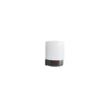 Sonde ext�rieure radio photovolta�que saunier duval 0020082651