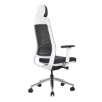 Axess industries fauteuil de bureau ergonomique 5 positions coloris noir