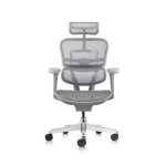 Axess industries fauteuil de bureau ergonomique classic coloris structure grise
