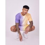 Project x paris tee - shirt bicolore d�grad� - couleur - mauve, taille - s