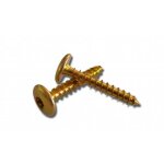 Stafa multiplus vis penture �toile 6x50 bichro t�te large boite de 200