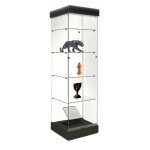 Vitrine expo h. 180 x l. 52cm toit spots socle noir (2 colis)