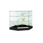 Vitrine d'exposition en verre tremp scuris modle angle noir