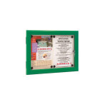 Vitrine extrieur verte 2 feuilles