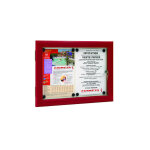 Vitrine visual - displays etanche 2 feuilles rouge