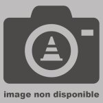 Ampoule projecteur rechargeable sur secteur et 12 volts