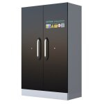 Armoire de s�curit� haute 2 portes pour batteries lithium - ion
