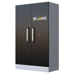 Armoire de s�curit� haute 2 portes pour batteries lithium - ion