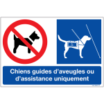 Autocollant chiens interdits sauf guides d'aveugles