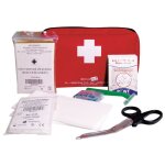Kit complet de ranimation par dfibrillateur