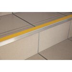 Nez de marche en aluminium auto - adh�sif