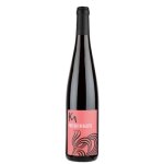 Alsace weingarten pinot noir 2017