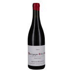 Bourgogne c�te dor rouge aoc 2021
