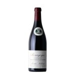 Bourgogne gamay 2023 Bourgogne gamay 2023