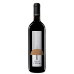 Colli aprutini merlot igt inkiostro 2017
