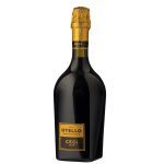 Emilia lambrusco rosso frizzante igt otello nerodilambrusco