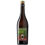 Lambrusco di sorbara frizzante secco doc  sant agata  2023