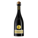 Lambrusco grasparossa di castelvetro doc vigneto cialdini 2024