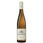 Pfalz riesling trocken 2023 Pfalz riesling trocken 2023