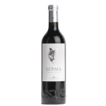 Terre di chieti cabernet sauvignon igt lupaia 2020 Terre di chieti cabernet sauvignon igt lupaia 2020