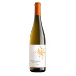 Trentino gewrztraminer doc 2023