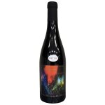 Vino rosso regard du loire 2021  j. p. robinot