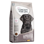 1, 5kg labrador retriever adult concept for life - croquettes pour chien