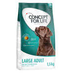 Testez - les ! croquettes concept for life 1 kg ou 1, 5 kg pour chien - large adult (1, 5 kg)