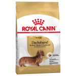 7, 5kg teckel adult royal canin - croquettes pour chien 7, 5kg teckel adult royal canin - croquettes pour chien