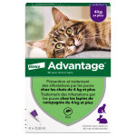 4 pipettes ad - vantage 80 pour chat et lapin de plus de 4 kg