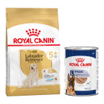 12kg labrador retriever adult 5 + breed royal canin croquettes pour chien + aliment humide : - 15 % ! ...