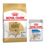 12kg labrador retriever adult breed royal canin croquettes pour chien + aliment humide : - 15 % !