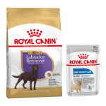 12kg labrador retriever adult sterilised breed royal canin croquettes pour chien + aliment humide : - ...