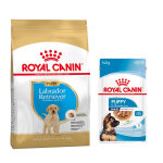 12kg labrador retriever puppy breed royal canin croquettes pour chien + aliment humide : - 15 % !