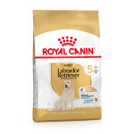 12kg royal canin labrador retriever adult 5 + - croquettes pour chien 12kg royal canin labrador retriever adult 5 + - croquettes pour chien