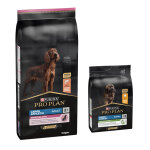 14kg large athletic sensitive skin saumon pro plan purina croquettes pour chien + 3kg offerts!