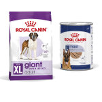 15kg giant adult size royal canin croquettes pour chien + aliment humide : - 15 % !