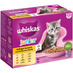 12x85g whiskas junior slection de volaille en gele - pte pour chat
