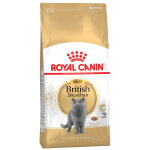 4kg british shorthair royal canin croquettes pour chat